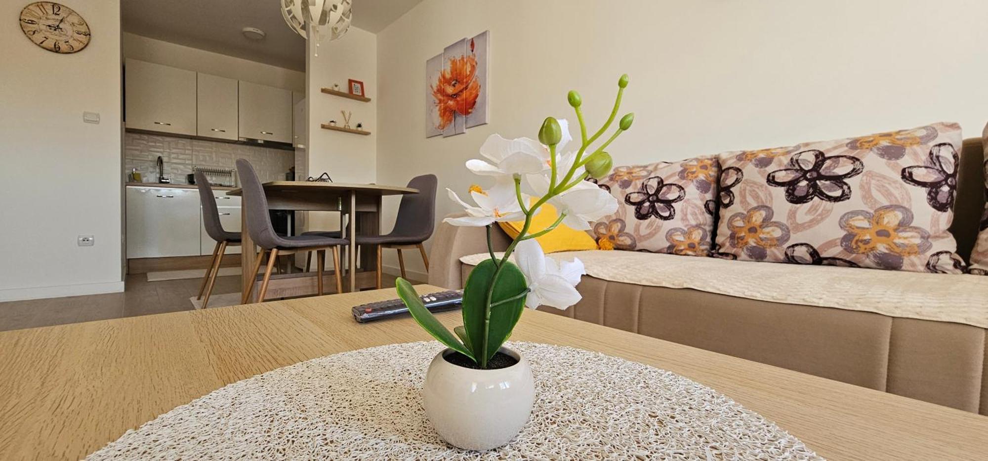 Apartman Vukota 2 Pirot Eksteriør billede