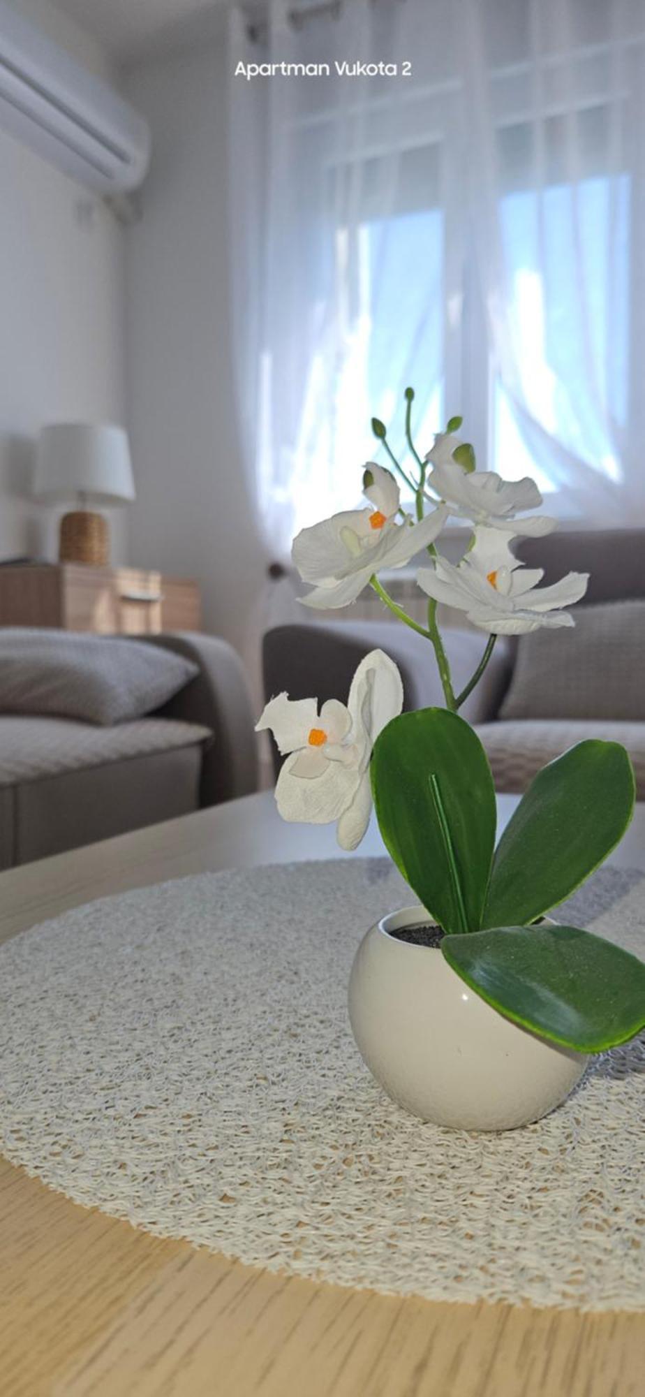 Apartman Vukota 2 Pirot Eksteriør billede